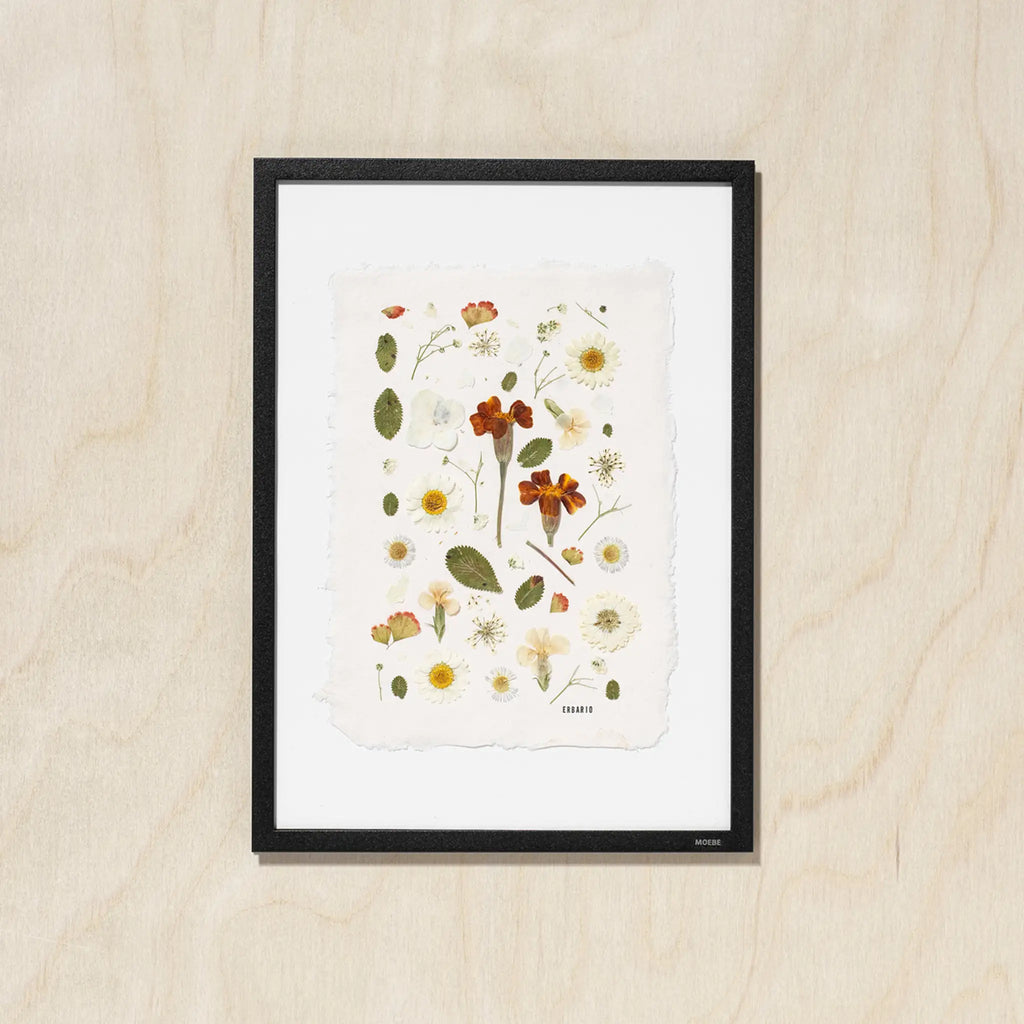 A framed botanical art featuring pressed flowers and leaves on a textured off-white background, enclosed in a black frame and displayed against a light wood wall.