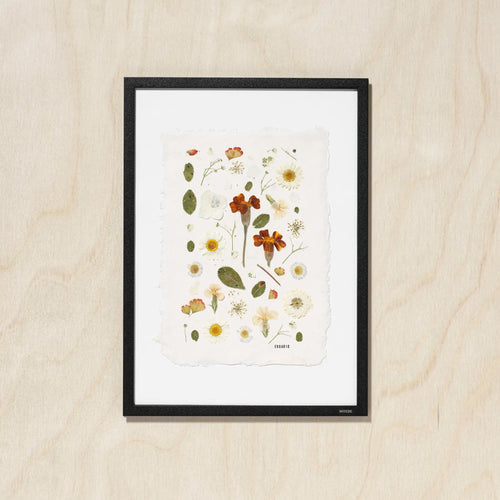 A framed botanical art featuring pressed flowers and leaves on a textured off-white background, enclosed in a black frame and displayed against a light wood wall.