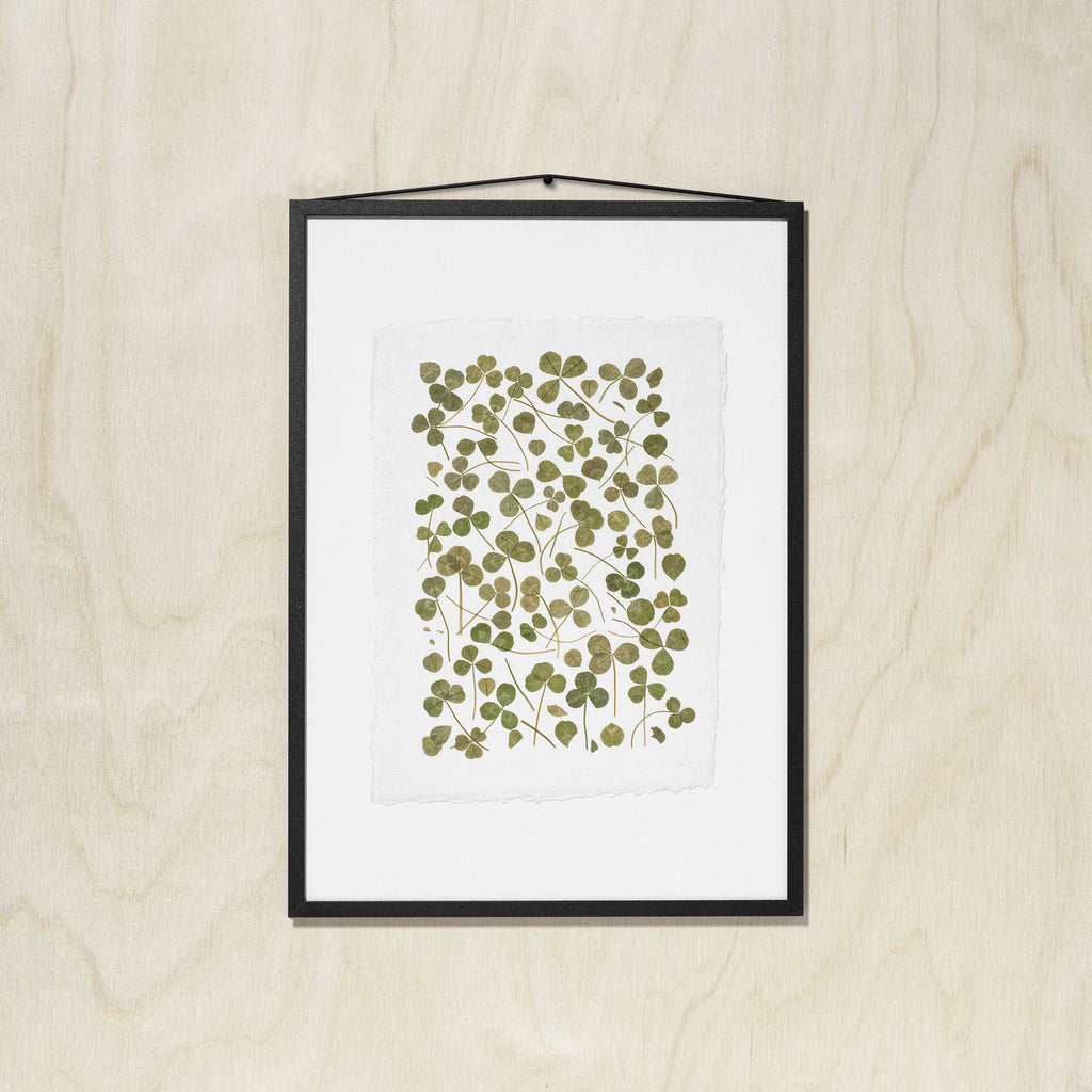 A framed botanical art featuring pressed green leaves on a white background, enclosed in a black frame and hung against a light wood wall.