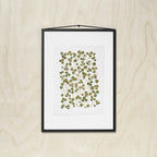 A framed botanical art featuring pressed green leaves on a white background, enclosed in a black frame and hung against a light wood wall.