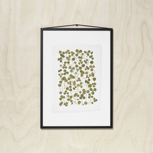 A framed botanical art featuring pressed green leaves on a white background, enclosed in a black frame and hung against a light wood wall.