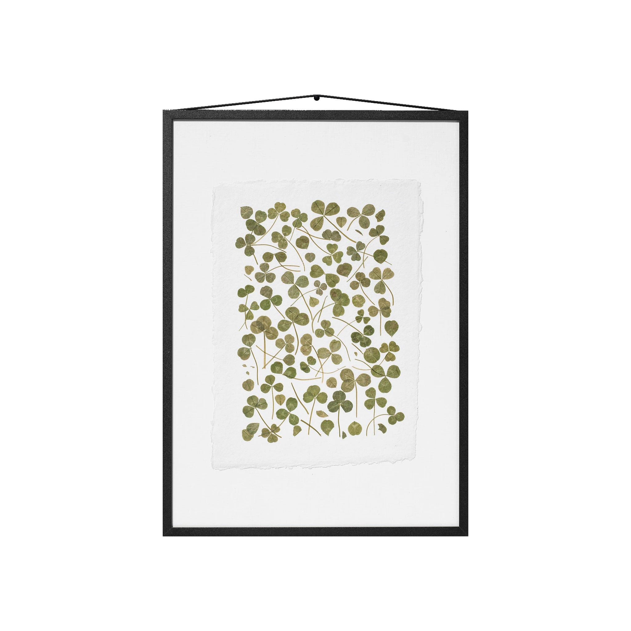 A framed botanical art featuring pressed green leaves on a white sheet of paper, enclosed in a black frame with a hanging cord, shown against a plain white background.