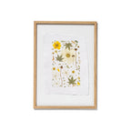 Framed botanical art print featuring pressed flowers and leaves on textured white paper, set in an oak wood frame against a white background.
