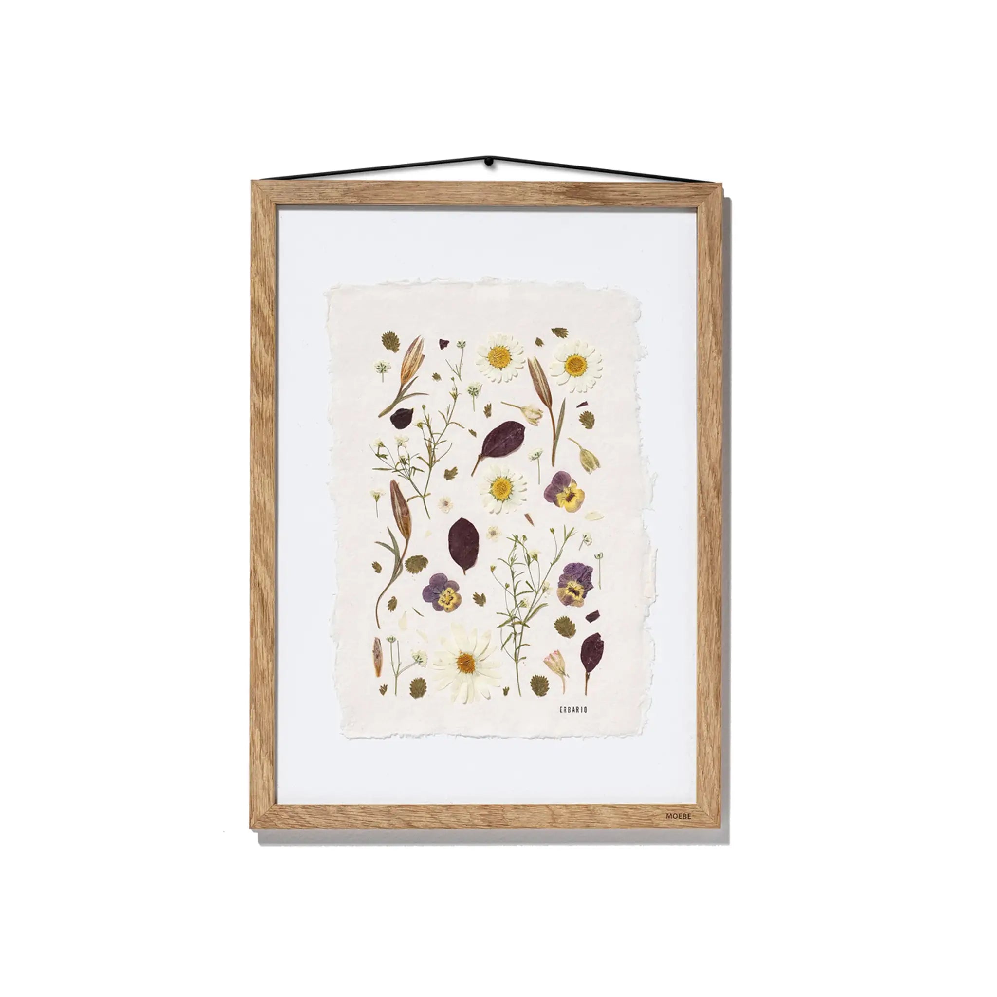 Daisies and Violas