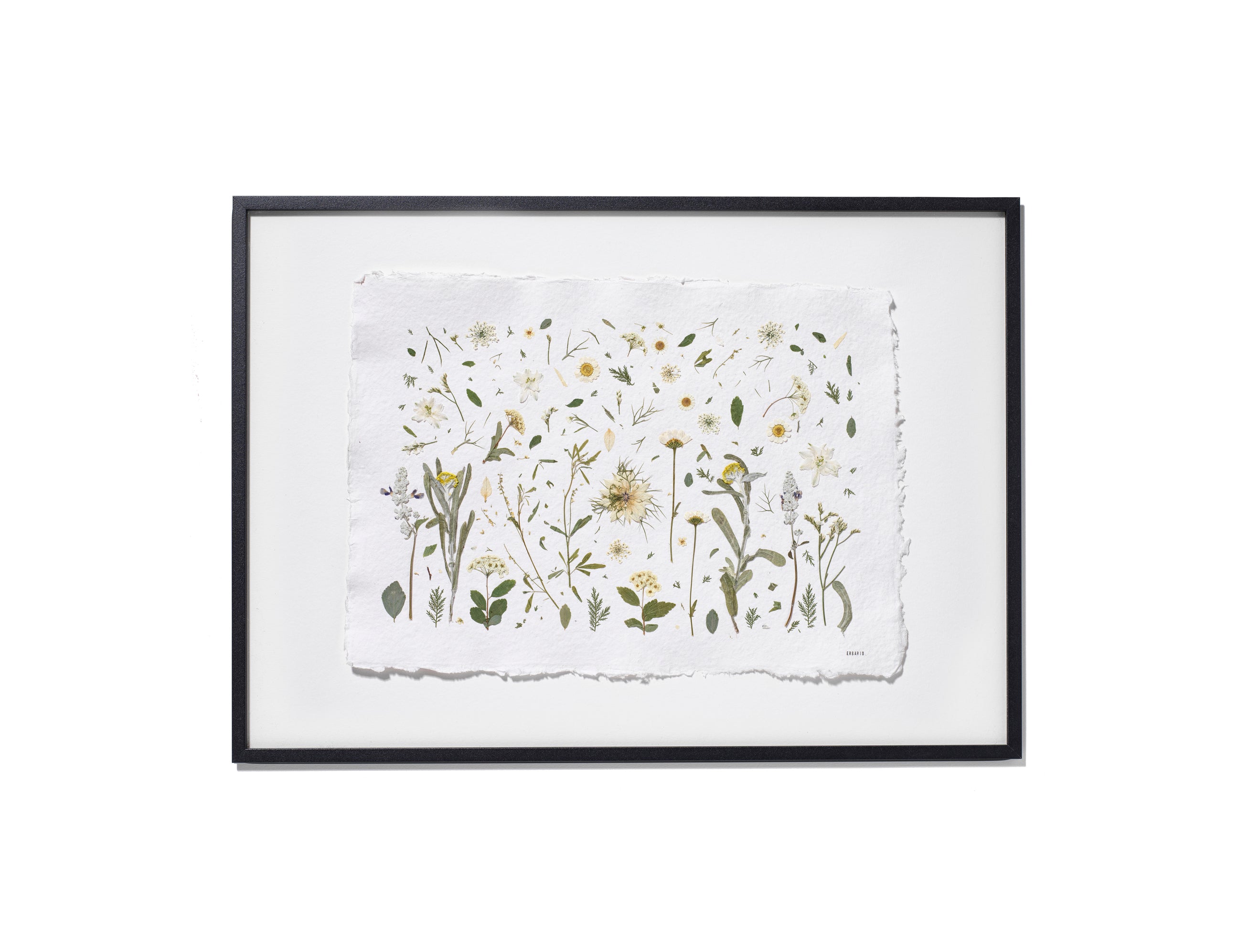A framed botanical art print featuring delicate flowers and leaves on textured white paper, presented in a black frame with a white background against a solid white backdrop.