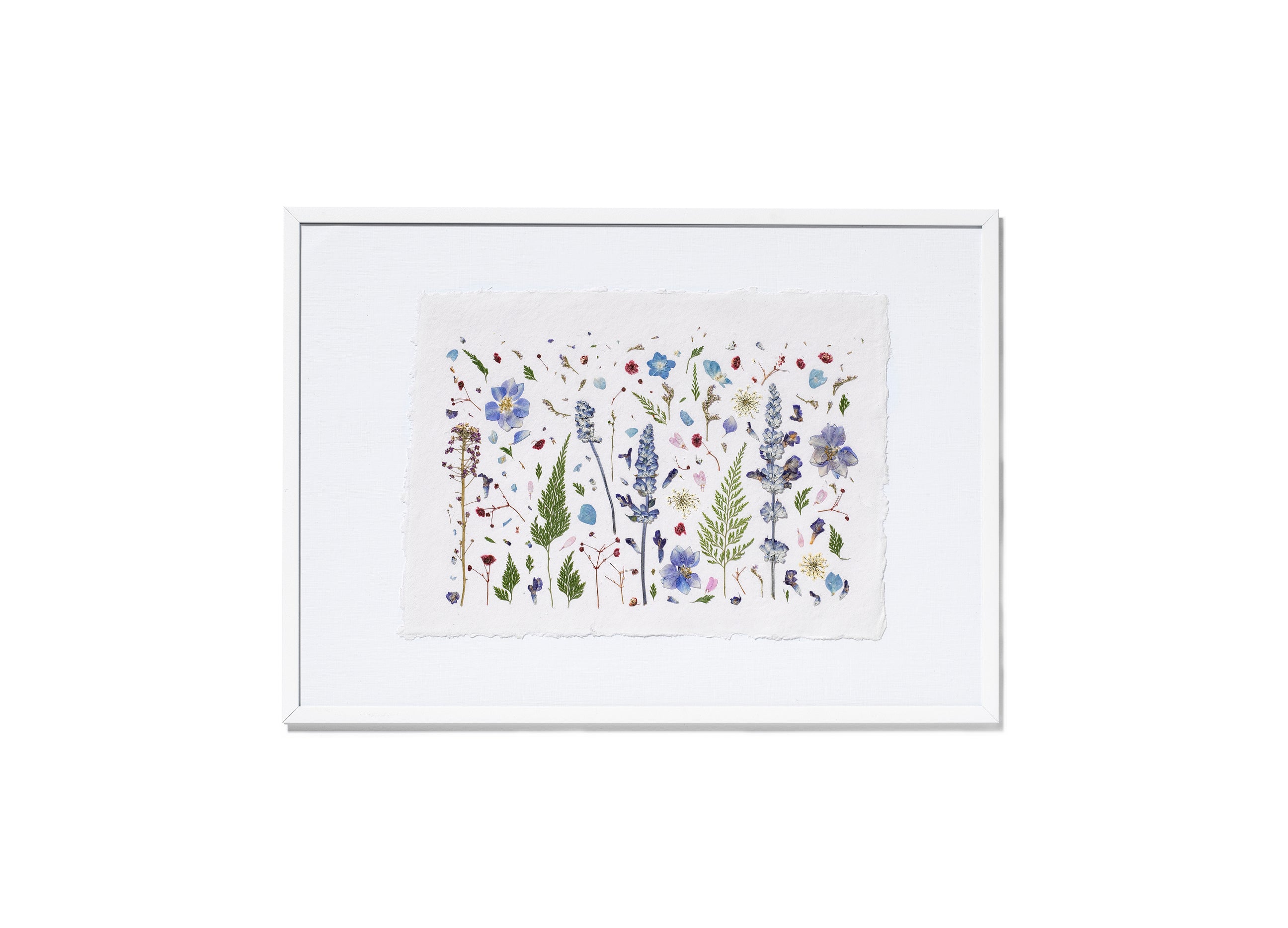 A framed botanical art featuring delicate flowers in blue, purple, green, and red on a white background, enclosed in a white frame.
