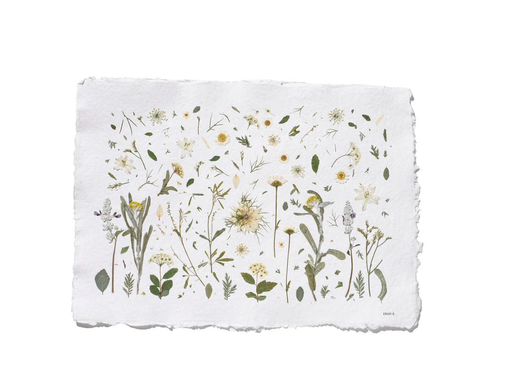 A square white paper print with irregular deckled edges, featuring a delicate botanical illustration of wildflowers and leaves in muted green, yellow, and beige tones, shown on a plain white background with Erbario in the bottom right corner