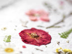 A close-up of a pressed dark red rose with green leaves and small yellow flowers arranged on a textured white fabric background.