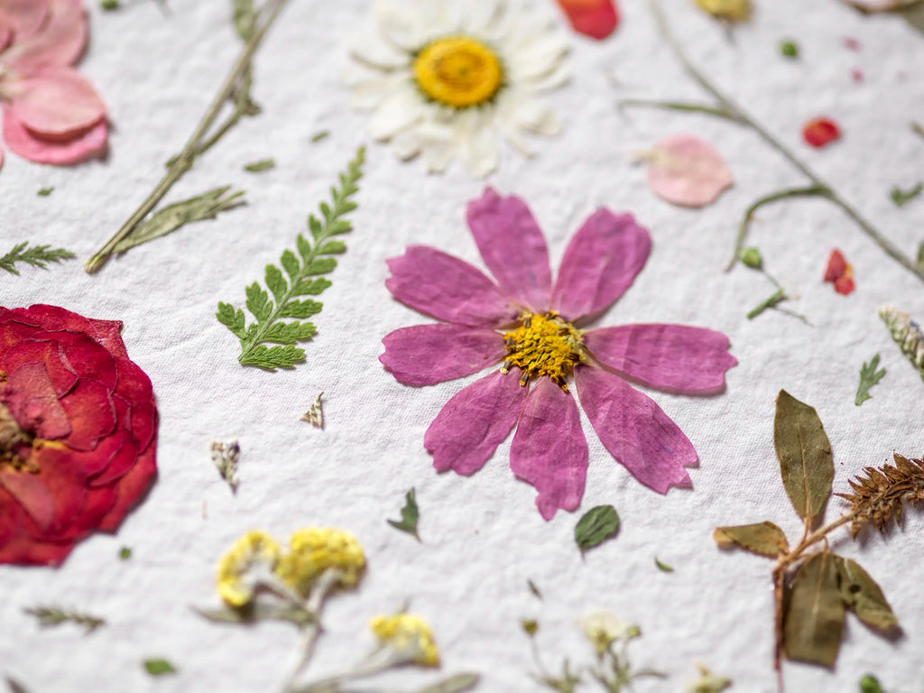 A close-up flat lay of pressed dried flowers and botanical elements arranged on a white textured surface, including a prominent pink-purple flower with a yellow center, a red rose bud, a white daisy, green leaves, and scattered petals.