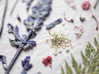 A close-up of a pressed botanical art piece featuring dried lavender sprigs, small white flowers, pink blossoms, and green ferns arranged on textured off-white paper.
