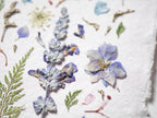 A close-up of pressed dried flowers and botanical elements arranged on textured white paper, including pale blue and lavender blossoms with green leaves.