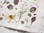 Daisies and Violas