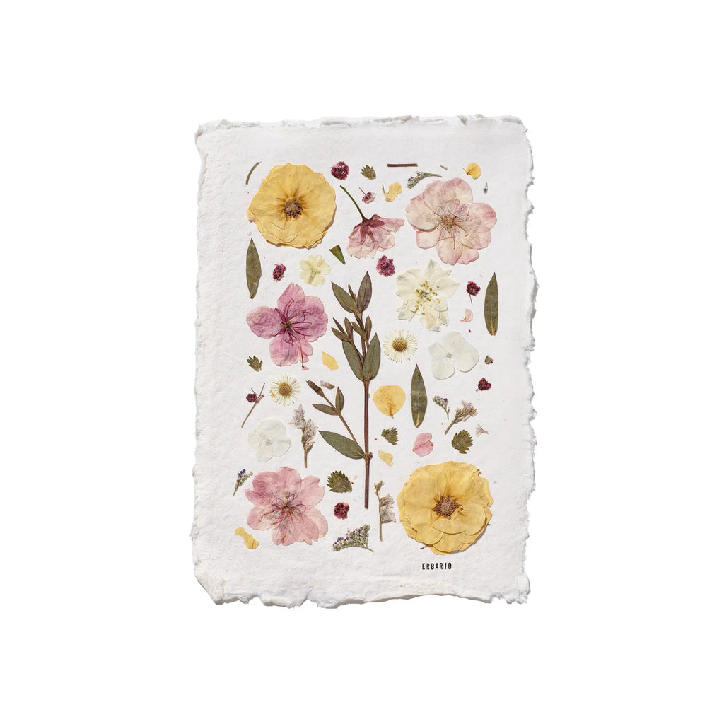A square white paper art with irregular deckled edges, featuring a botanical illustration of pressed flowers in yellow, pink, and white with green leaves, shown on a plain white background.