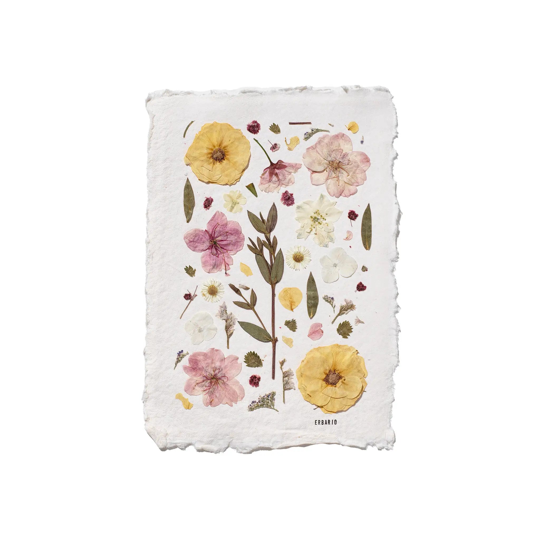 A square white paper art with irregular deckled edges, featuring a botanical illustration of pressed flowers in yellow, pink, and white with green leaves, shown on a plain white background.