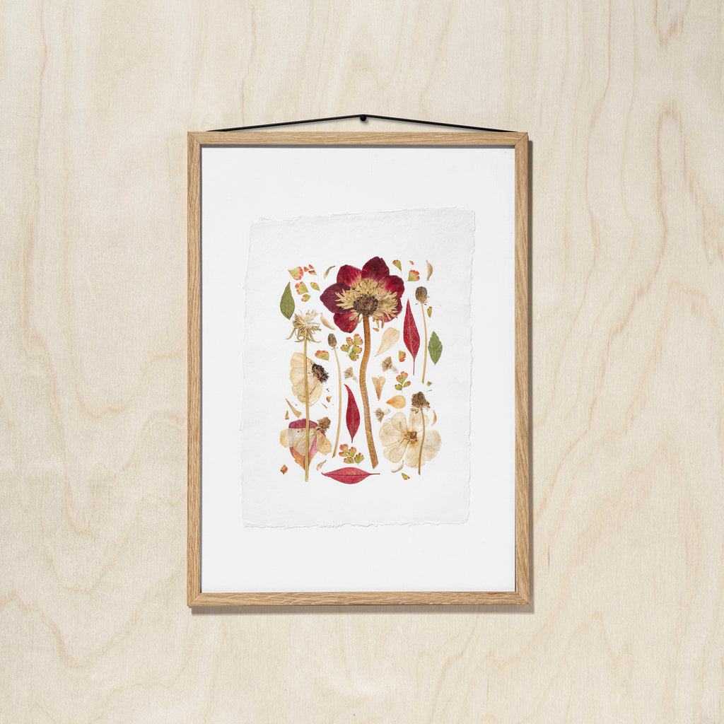 A framed botanical art featuring pressed flower and leaves, hung on a light wood wall with a black hanging string.
