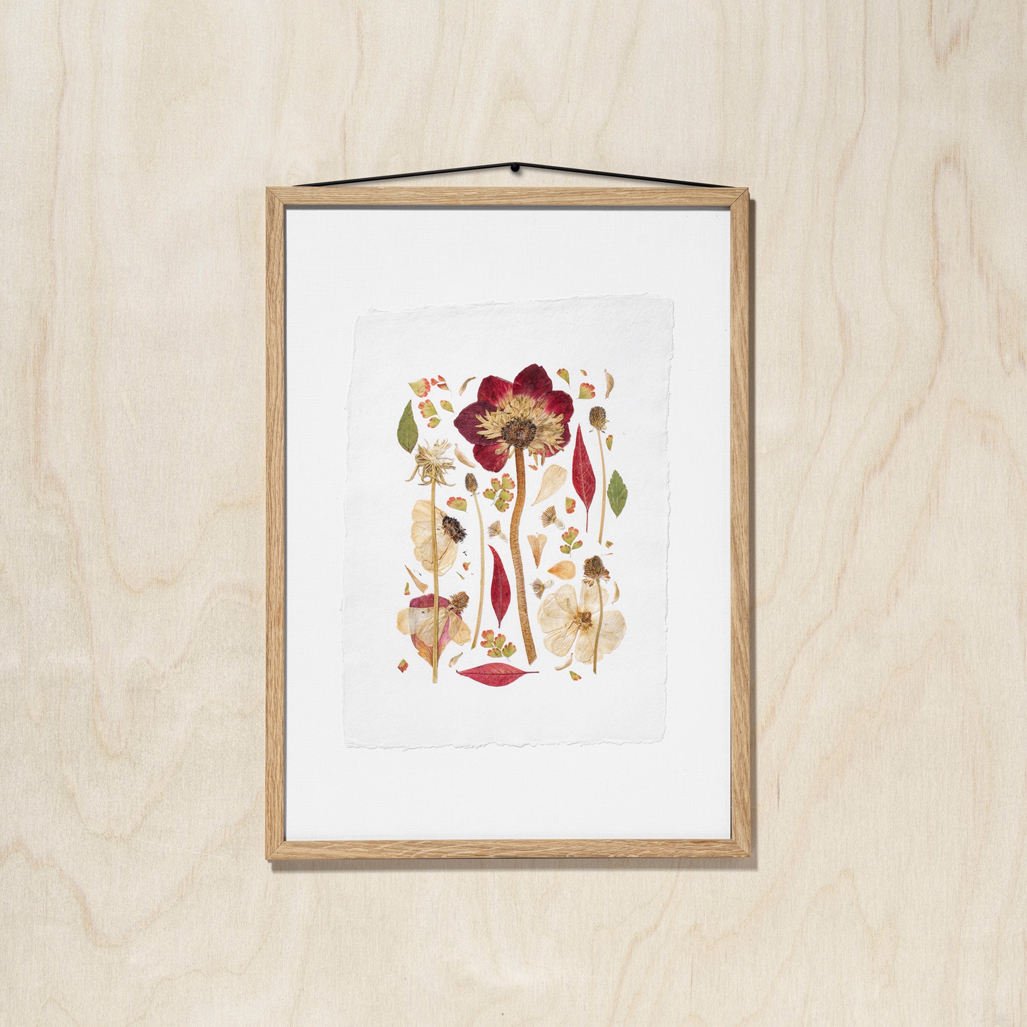 A framed botanical art featuring pressed flower and leaves, hung on a light wood wall with a black hanging string.