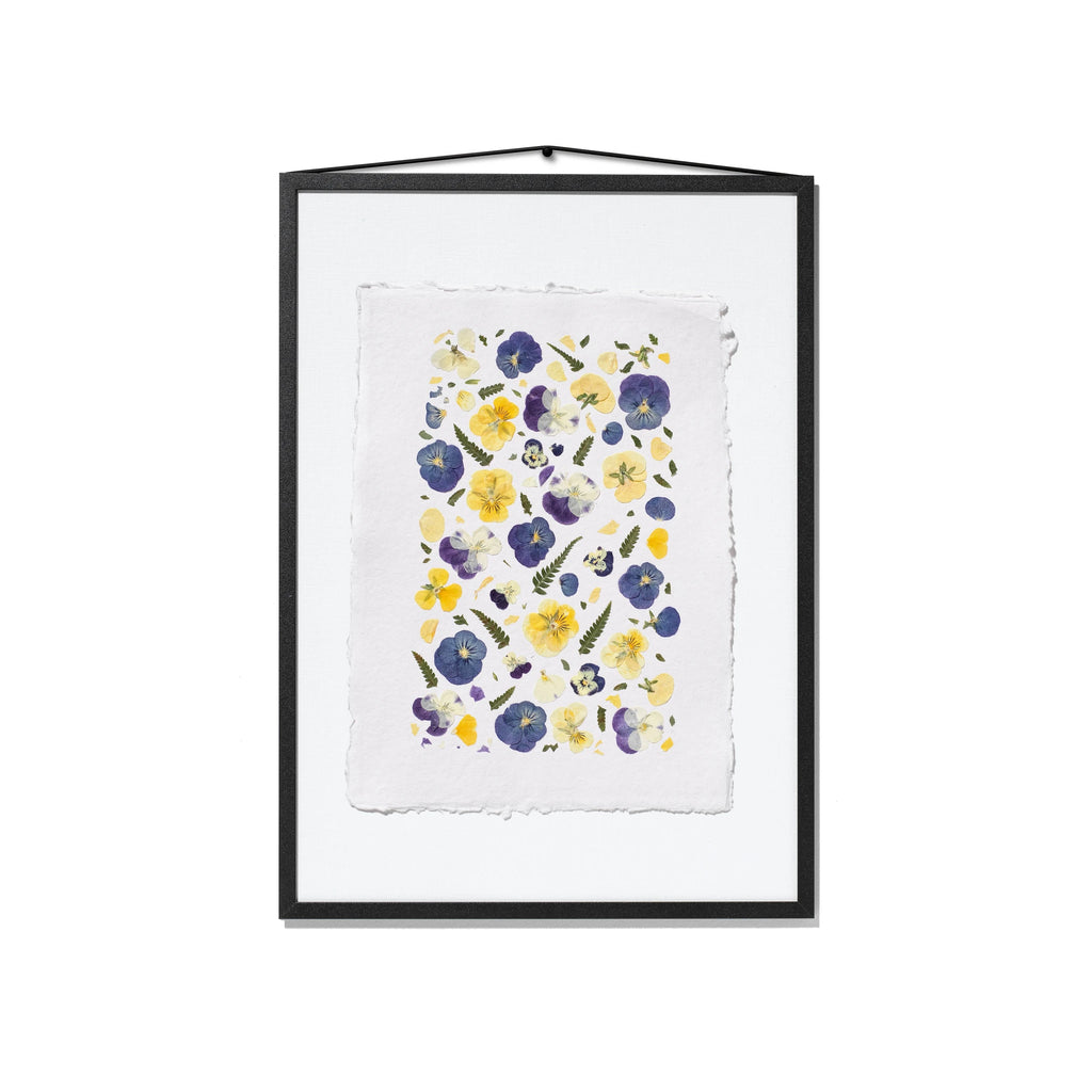 A framed floral art print featuring purple, blue and yellow pressed pansies on a textured white sheet of paper in a black frame, hung on a white background.