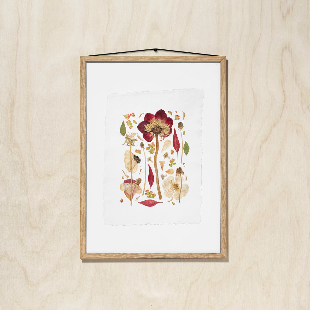 A framed botanical print featuring a pressed flower and leaves in muted red, beige, and green tones, mounted on a light wood wall with a black hanging string.