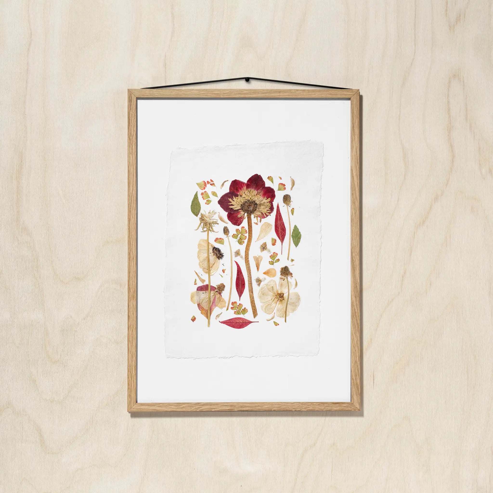 A framed botanical print featuring a pressed flower and leaves in muted red, beige, and green tones, mounted on a light wood wall with a black hanging string.