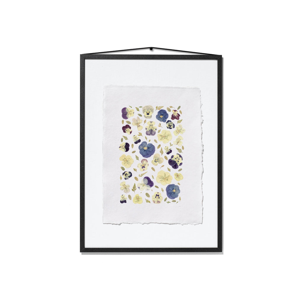 A framed floral art print featuring pressed pansies in purple, blue, and yellow on a white textured paper, enclosed in a black frame with a white background.