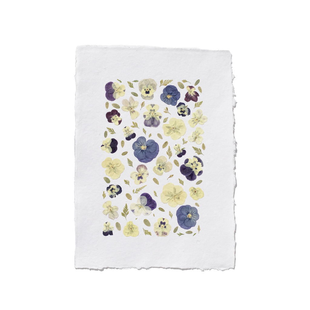 An unframed floral art print featuring pressed pansies in purple, blue, and yellow on a white textured paper on a white background.