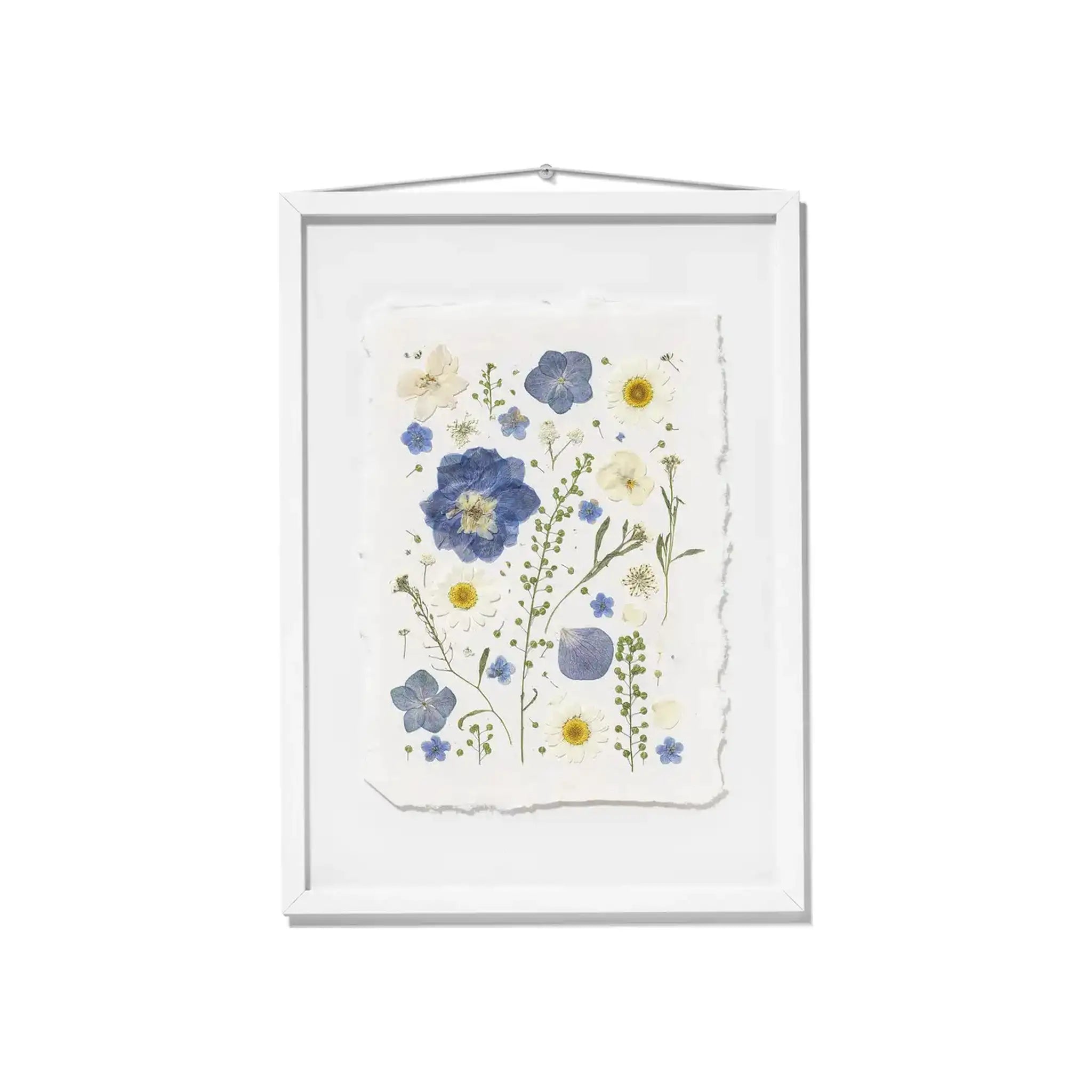 A framed botanical art featuring pressed blue and yellow flowers on a textured off-white paper background, housed in a white wooden frame with a hanging loop at the top.