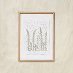 A framed botanical art print featuring green wildflower illustrations on a white textured paper background, housed in a oak woof frame and mounted on a light oak wall.