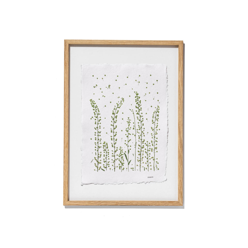 A framed botanical art print featuring green wildflower illustrations on a textured white paper background, enclosed in an oak frame on a white backdrop.