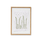 A framed botanical art print featuring green wildflower illustrations on a textured white paper background, enclosed in an oak frame on a white backdrop.
