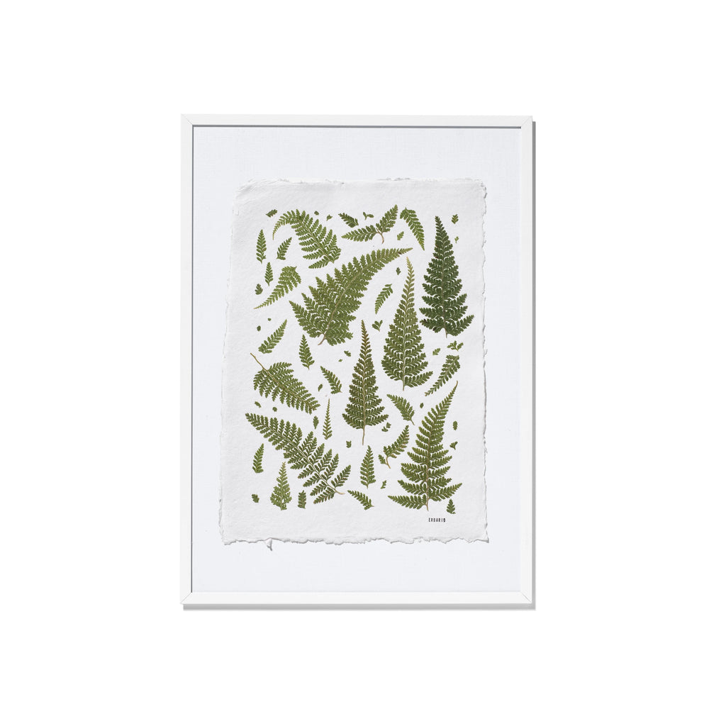 A framed botanical art featuring green ferns on a textured off-white paper background, enclosed in a white frame against a solid white backdrop.