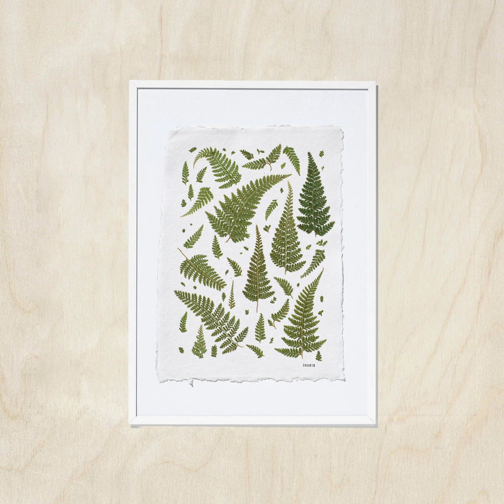 A framed botanical art print featuring green fern leaves on a textured off-white sheet, in a white frame, displayed against a light oak wood background.