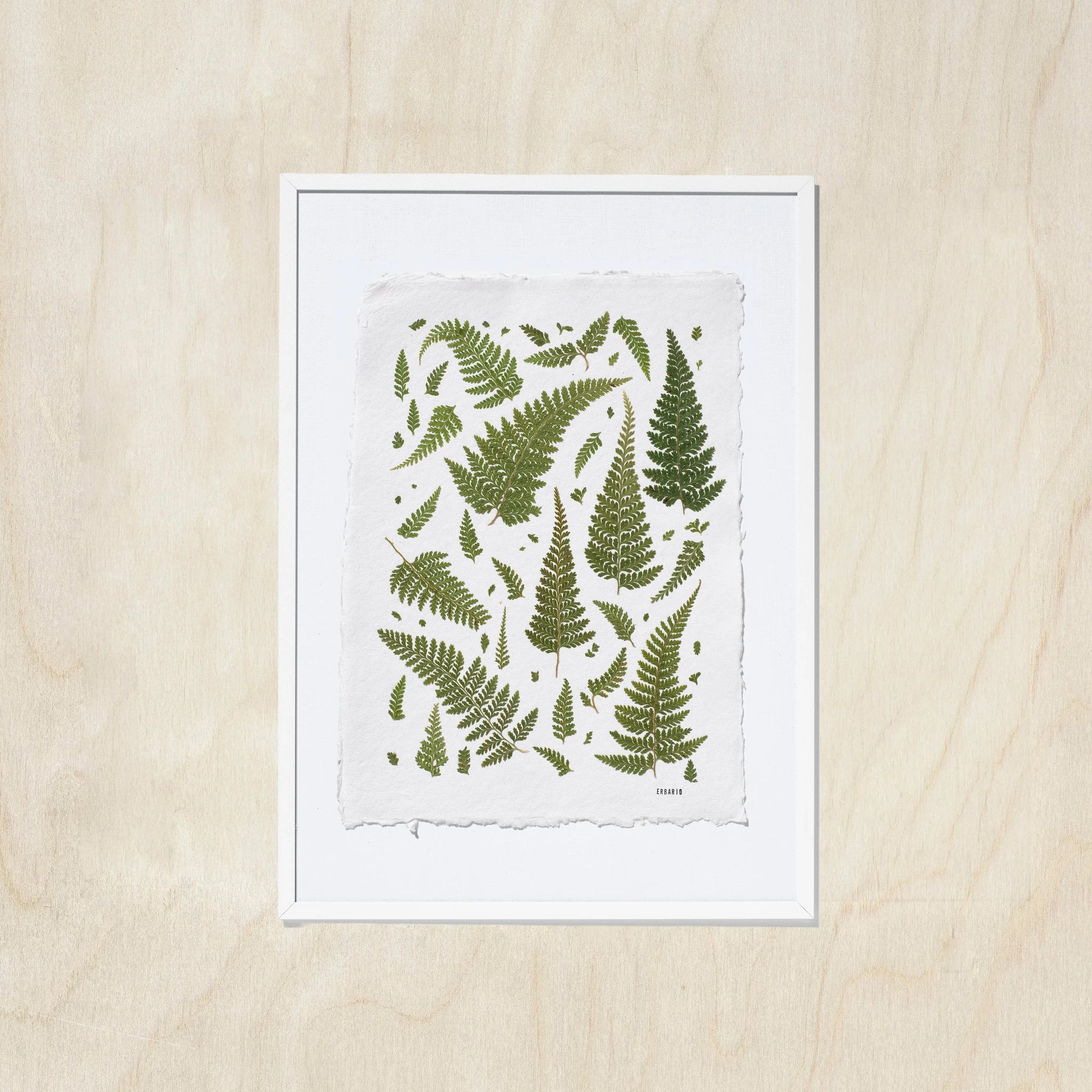 A framed botanical art print featuring green fern leaves on a textured off-white sheet, in a white frame, displayed against a light oak wood background.