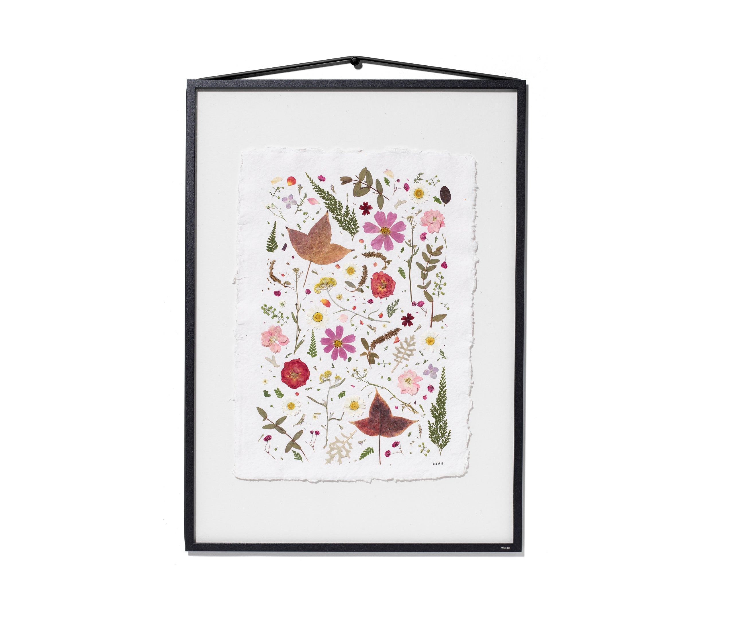 A framed botanical art featuring colourful flowers, leaves, and birds on a white textured background, enclosed in a black frame with a hanging loop at the top.