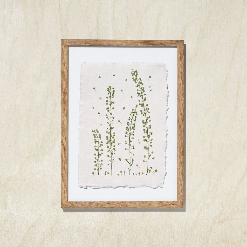 A framed botanical art print featuring pressed green plant stems on textured off-white paper, set in a light natural wood frame against a light beige wall.