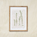 A framed botanical art print featuring pressed green plant stems on textured off-white paper, set in a light natural wood frame against a light beige wall.