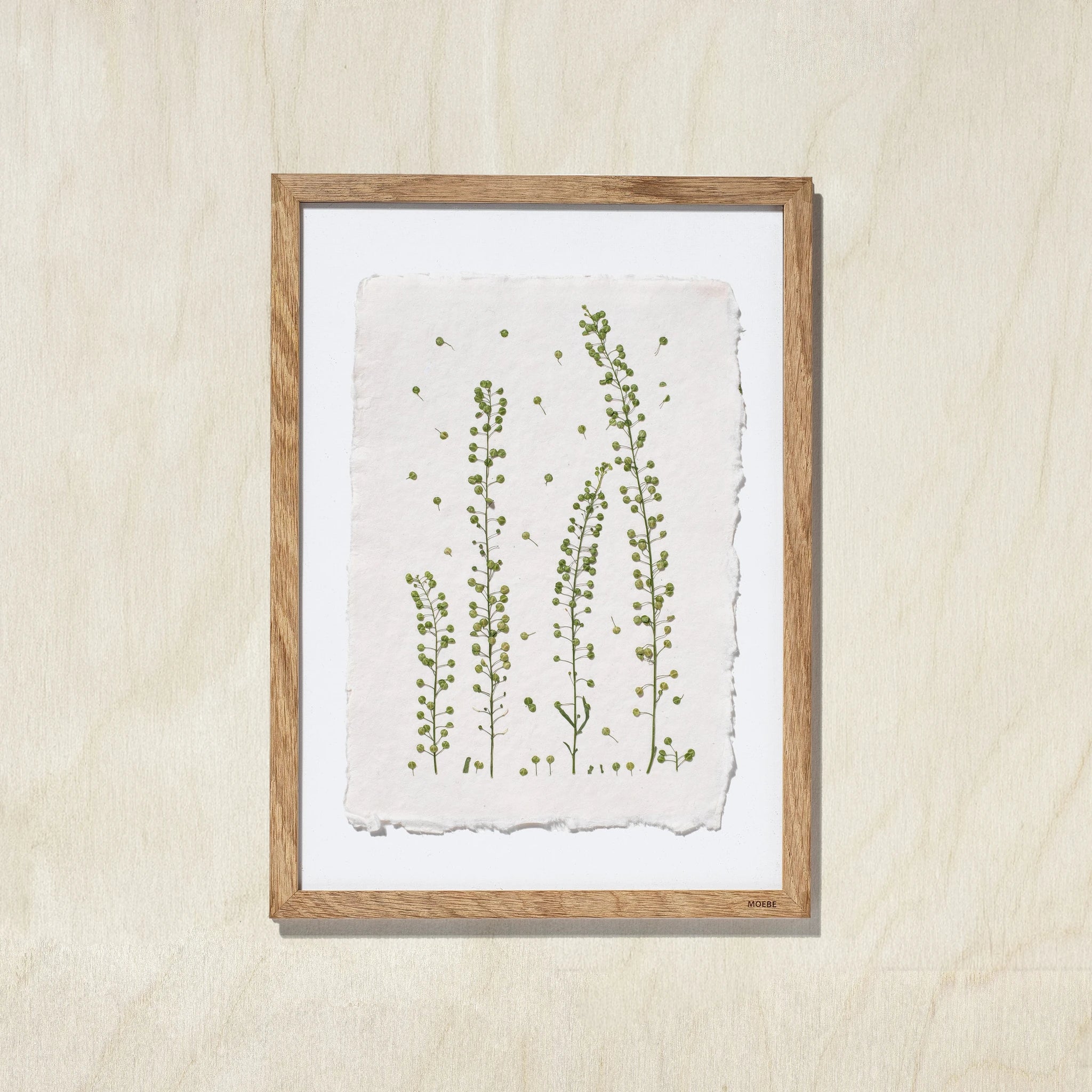 A framed botanical art print featuring pressed green plant stems on textured off-white paper, set in a light natural wood frame against a light beige wall.