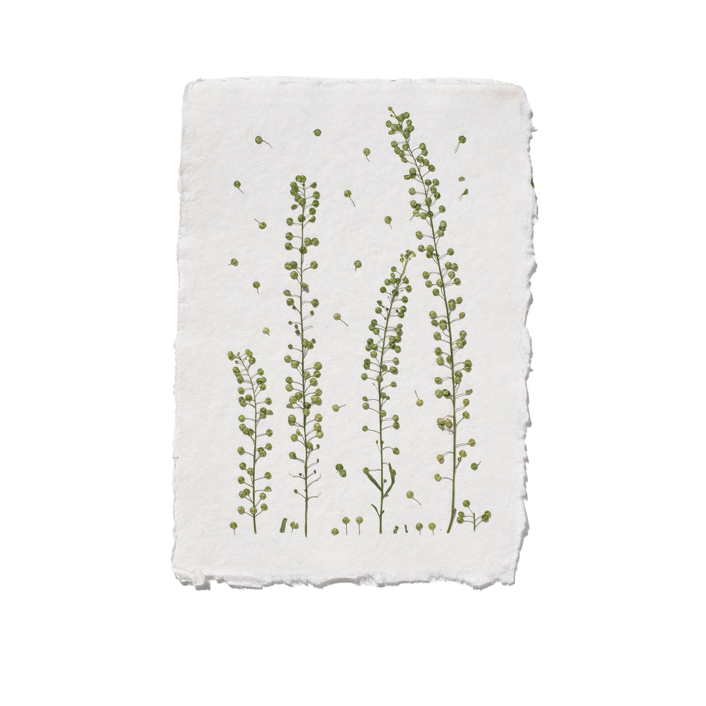 A square white textile with irregular hand-drawn paper edges, featuring a botanical print of four green leafy stems, shown against a plain white background.