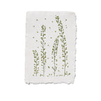 A square white textile with irregular hand-drawn paper edges, featuring a botanical print of four green leafy stems, shown against a plain white background.