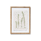 A framed botanical art print featuring delicate green plant illustrations on a textured off-white sheet of paper, enclosed in a light natural wood frame with a white mat, shown against a plain white background.