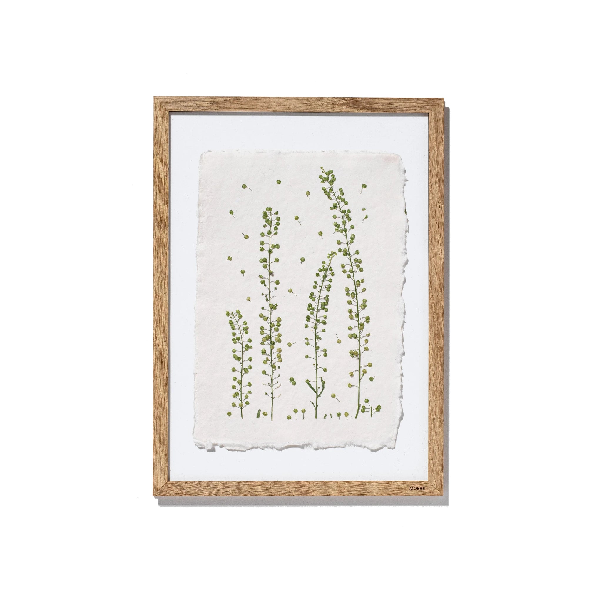A framed botanical art print featuring delicate green plant illustrations on a textured off-white sheet of paper, enclosed in a light natural wood frame with a white mat, shown against a plain white background.