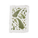 A square white art print with rustic, torn paper edges, featuring pressed green fern leaves arranged across the surface. The word 'ORBITO' is printed in small black letters near the bottom right of the design.