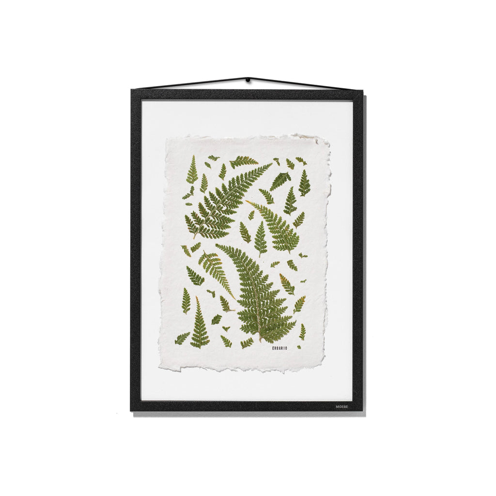 A framed botanical art print featuring green fern leaves on a textured off-white sheet, presented in a black frame with a hanging cord against a white background.