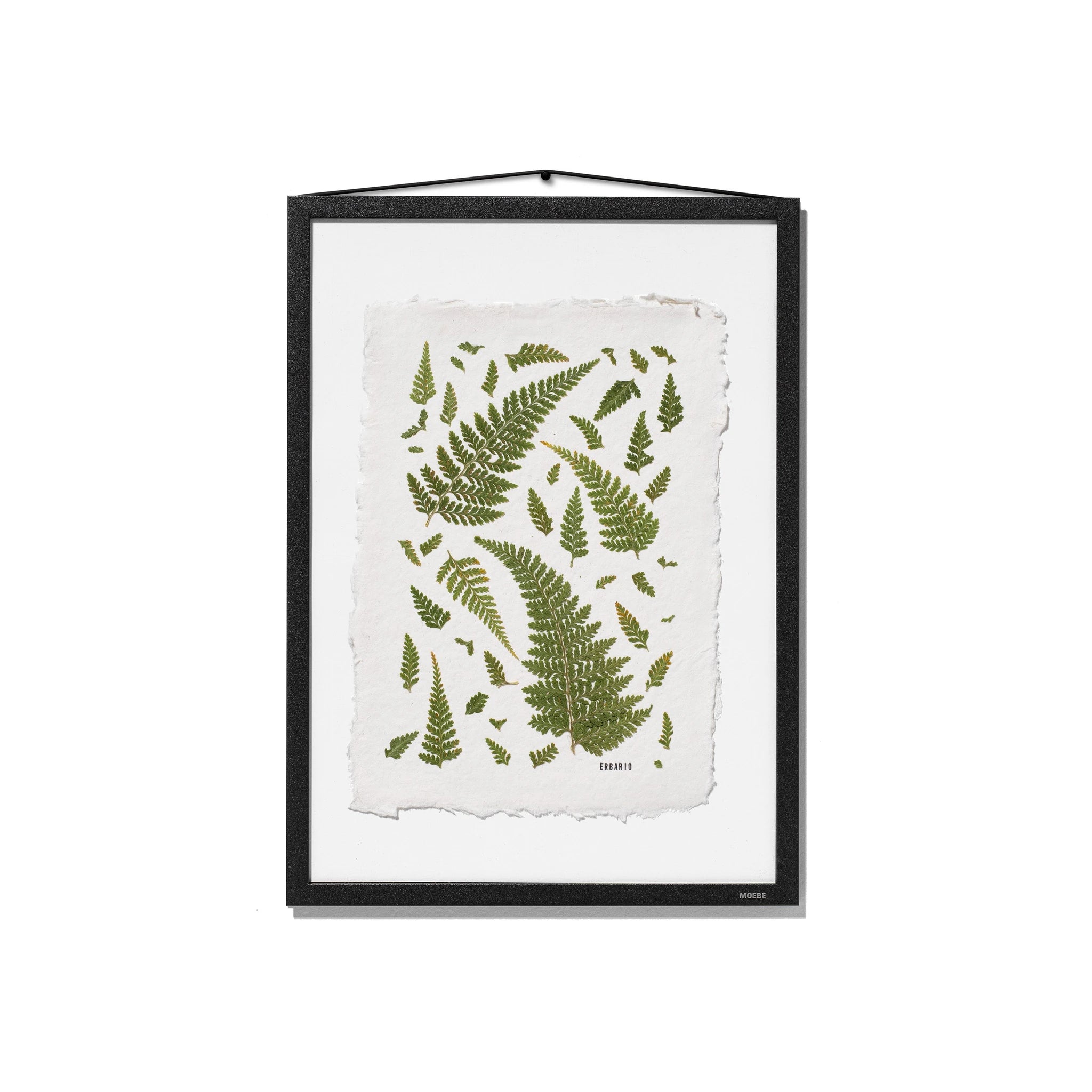 A framed botanical art print featuring green fern leaves on a textured off-white sheet, presented in a black frame with a hanging cord against a white background.