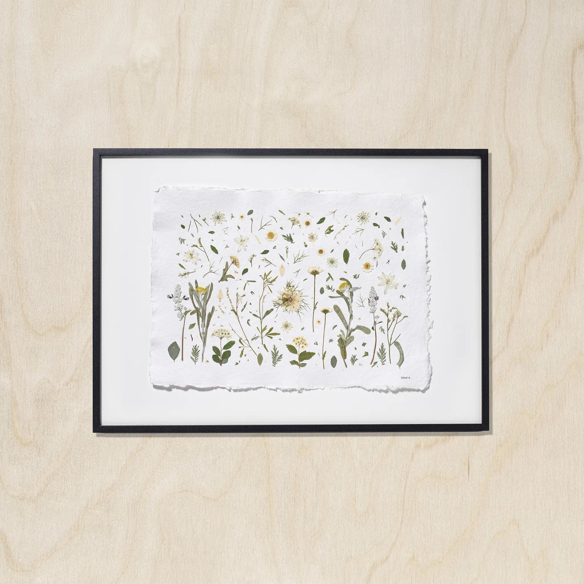 A framed botanical art featuring delicate flowers on a textured white sheet of paper, mounted with a white background and a black frame against a light wood background.