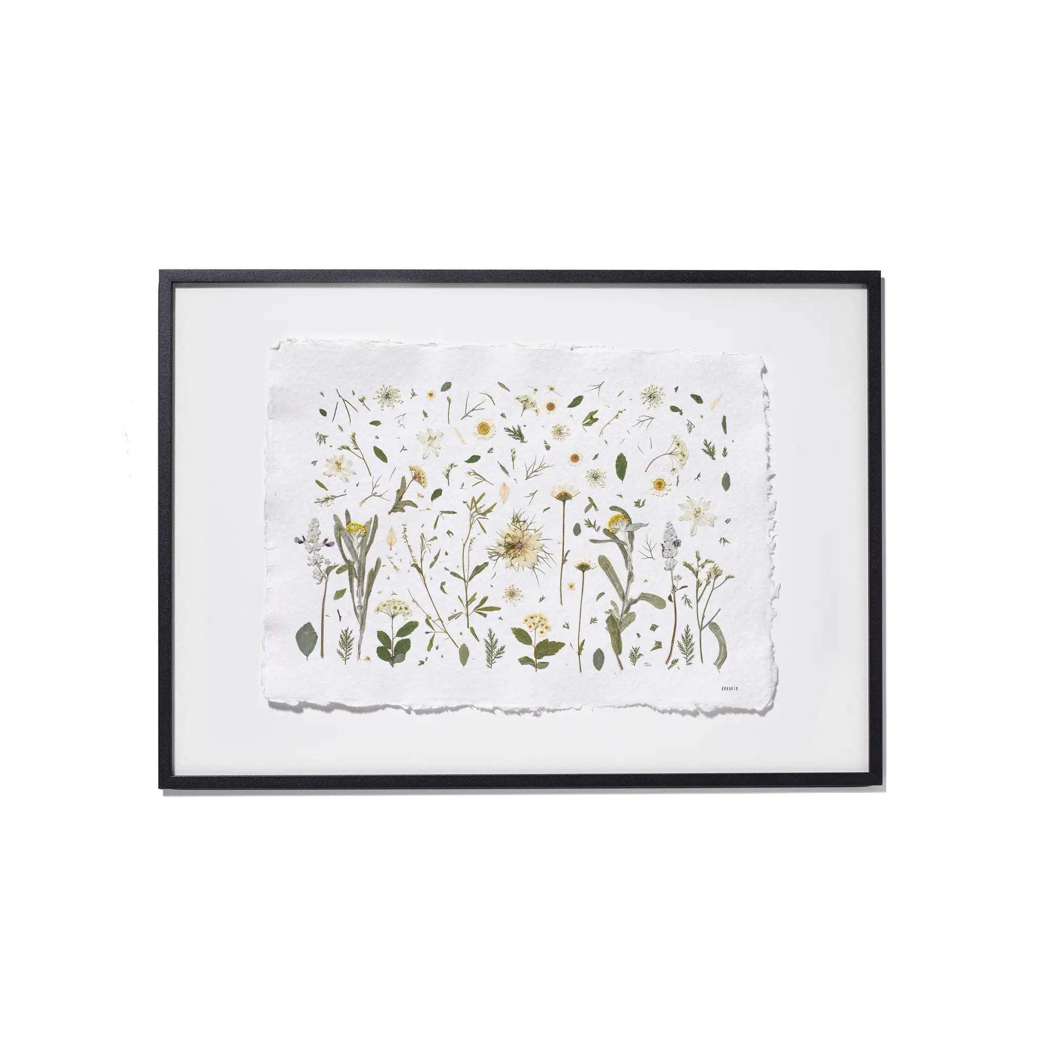 A framed botanical art featuring delicate pressed flowers and green leaves on a textured white paper background, enclosed in a black frame with a white backdrop.